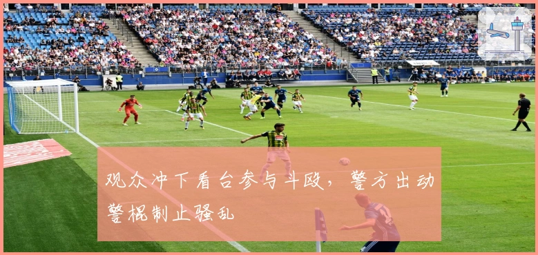 观众冲下看台参与斗殴,警方出动警棍制止骚乱