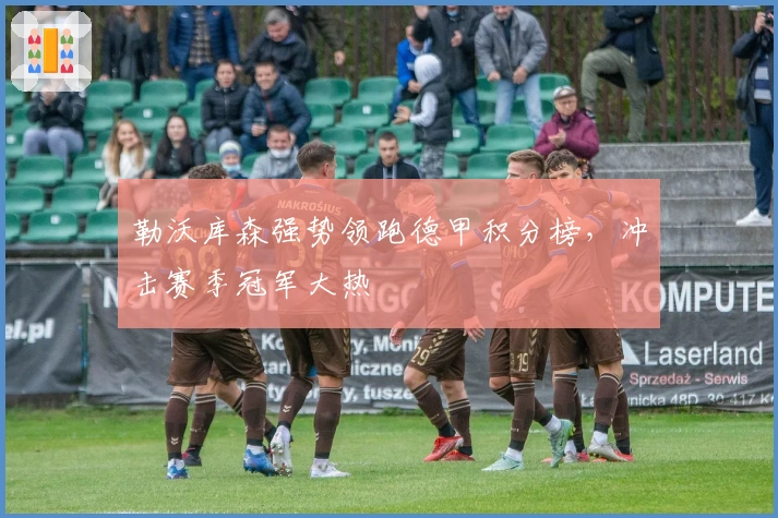 勒沃库森强势领跑德甲积分榜，冲击赛季冠军大热